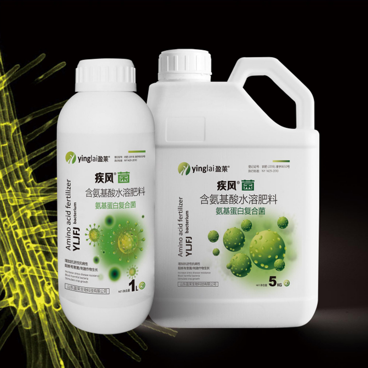 疾風菌-含氨基酸水溶肥料